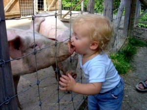 kid-and-pig